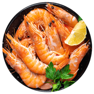 Shrimp Food Prawns